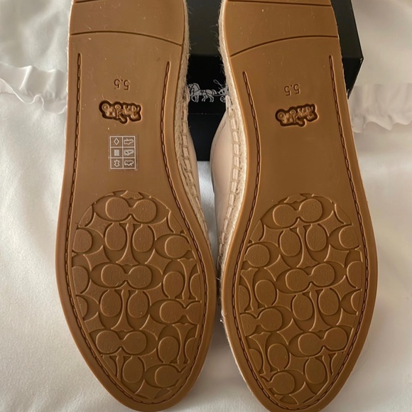 COPY - Coach slides - Picture 5 of 7